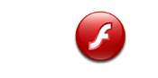 Flash 