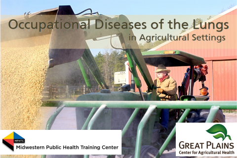 Farmer in tractor dumping grain with a front loader