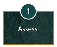 Domain 1: Assess