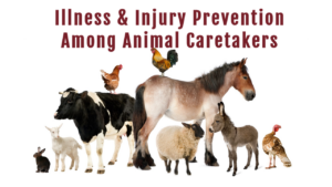 Illness & Injury Prevention Among Animal Caretakers