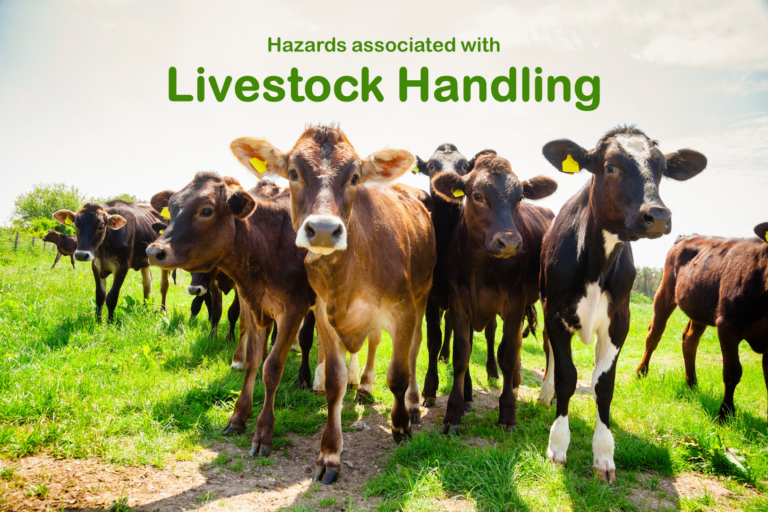 Hazards Associated with Livestock Handling