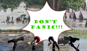 Don’t Panic: Principles of Crisis and Risk Communication Scenario